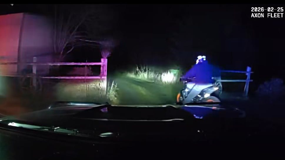 'There's a dog! You're gonna get bit!'