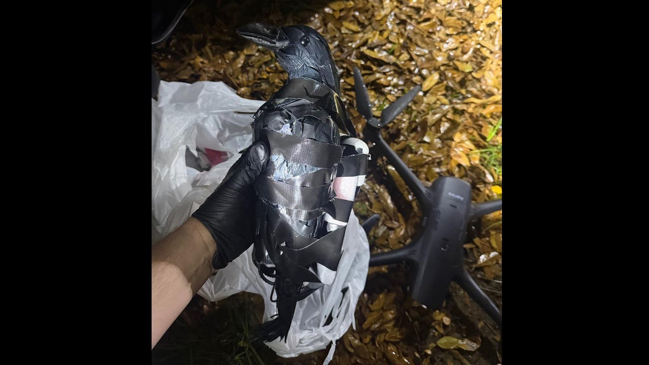 Contraband-filled decoy crows.