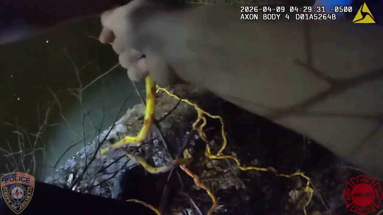 Joliet police help save man in Des Plaines River