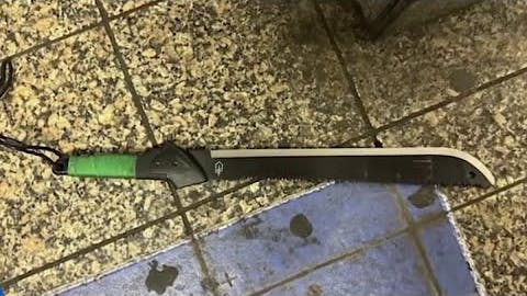 Machete in Grand Central attack