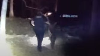 Colchester police K-9 helps find driver who fled crash