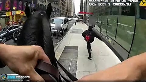 NYPD mounted officer chases parolee