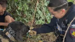 69e778c04e7a4e8c1b8de398 Childsaved 69e778c04e7a4e8c1b8de398 Childsaved