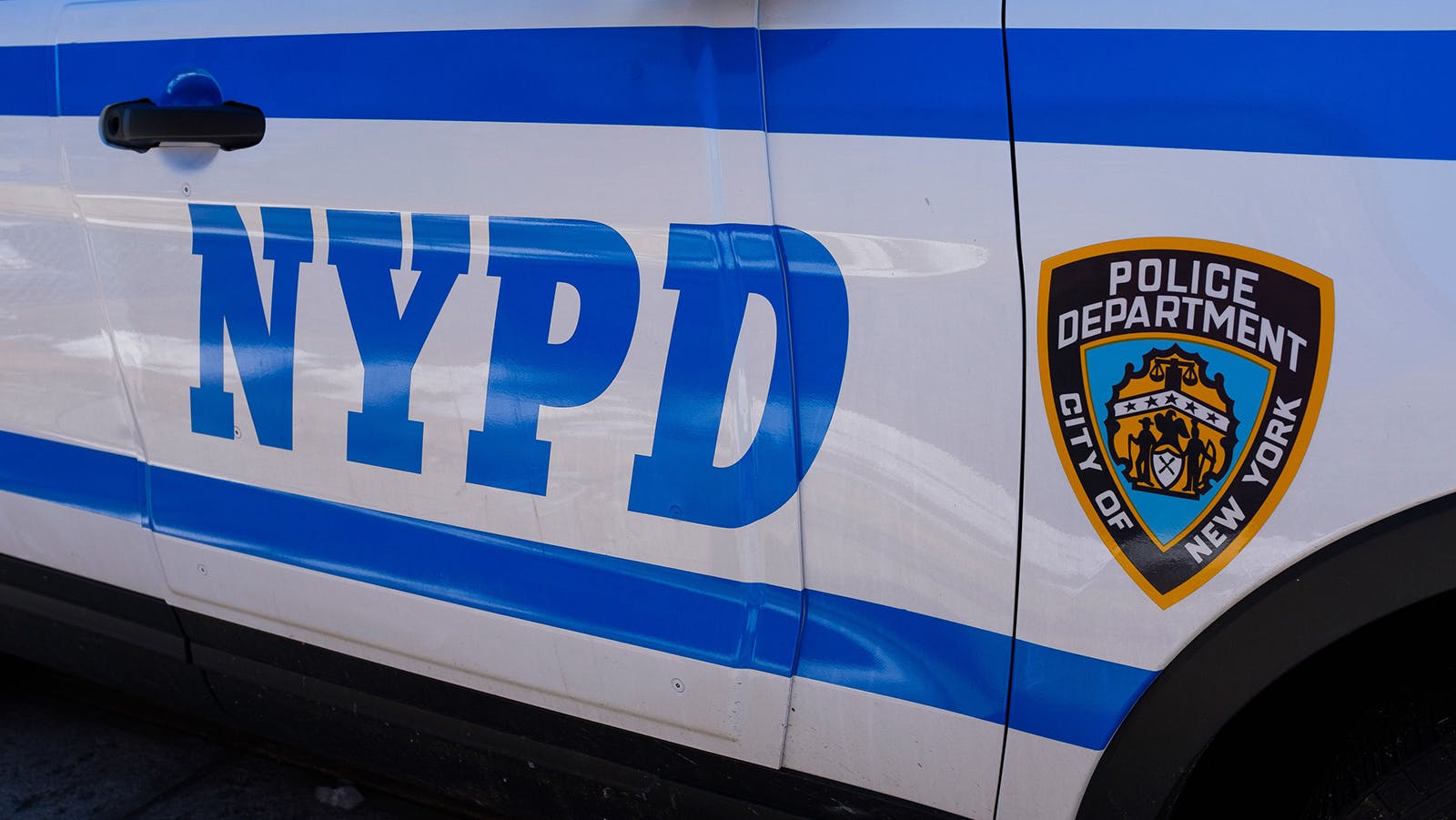 The recently formed committee will examine the NYPD's street stops in an effort to avoid racial disparities.