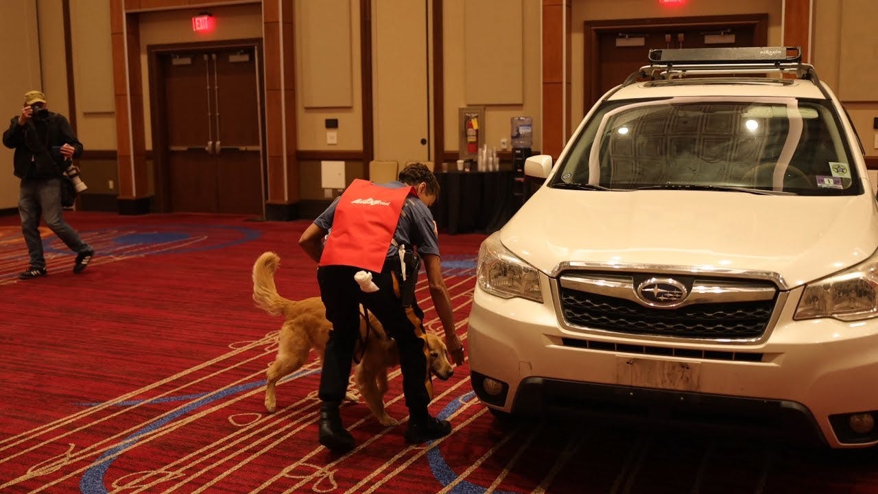 USPCA 2026 National Detector Dog Trials