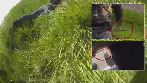 Bodycam of stabbing of Wayne County's sheriff and a deputy