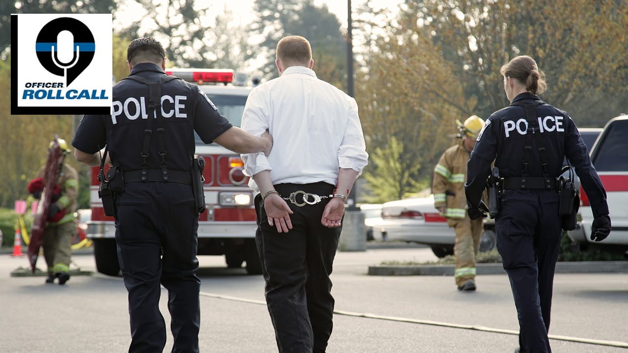 Police and domestic disturbances