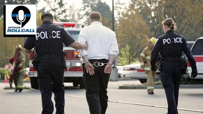 Police and domestic disturbances