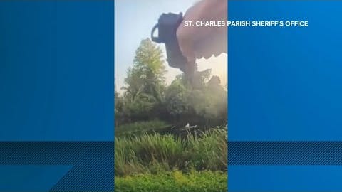 Suspected impaired driver attacked by alligator