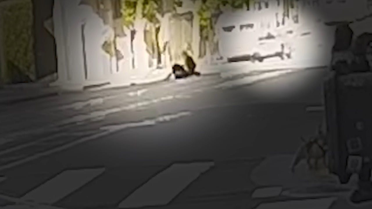 San Francisco police officers and suspect run down