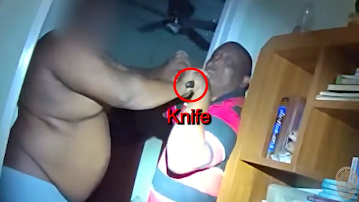 LAPD bodycam: Brothers struggle over knife