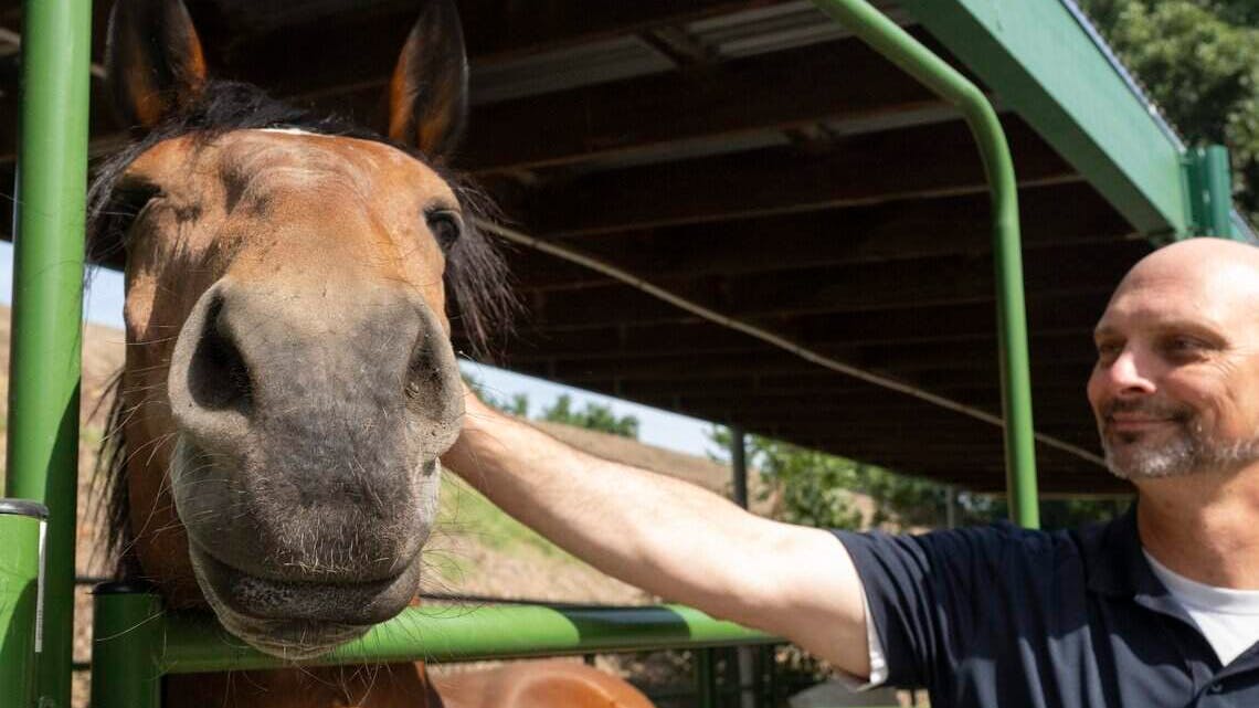Sgt. Jason Duink pets Hoss, one of the Sacramento Police Department&rsquo;s Mounted Unit horses, at the unit&rsquo;s barn on Wednesday. The mounted unit was cut from the city budget and all of its officers reassigned to other duties.