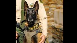 Fresno County Sheriff's Office K-9 Santi