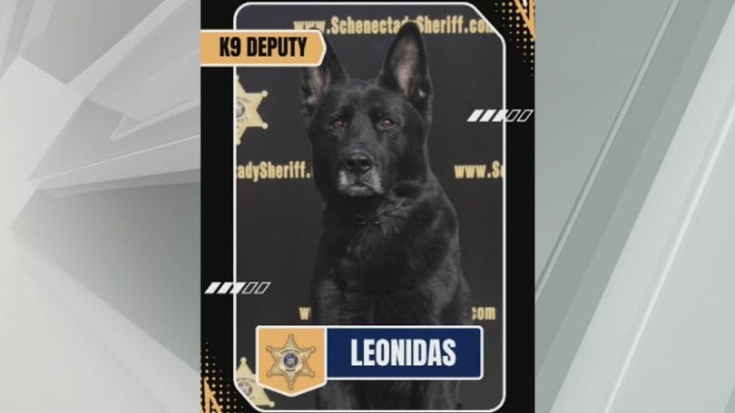 Schenectady County sheriff's K-9 Leonidas
