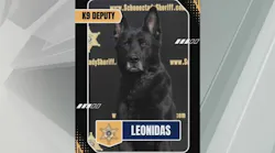 Schenectady County sheriff's K-9 Leonidas