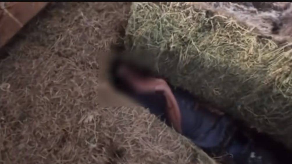 Placer County sheriff's drone finds domestic violence suspect hiding in haystack