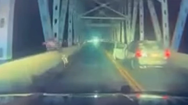 Speeding suspect flees Stone County deputies by jumping off a bridge 50 feet into Table Rock Lake