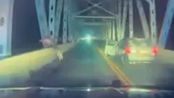 Speeding suspect flees Stone County deputies by jumping off a bridge 50 feet into Table Rock Lake