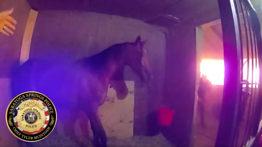 Saratoga Springs help rescue horses from casino barn fire