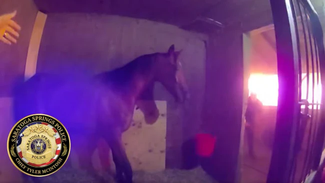 Saratoga Springs help rescue horses from casino barn fire