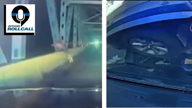 A fleeing suspect dives off a Stone County bridge; a drug investigation suspect lands on top of a Sandy Springs police cruiser