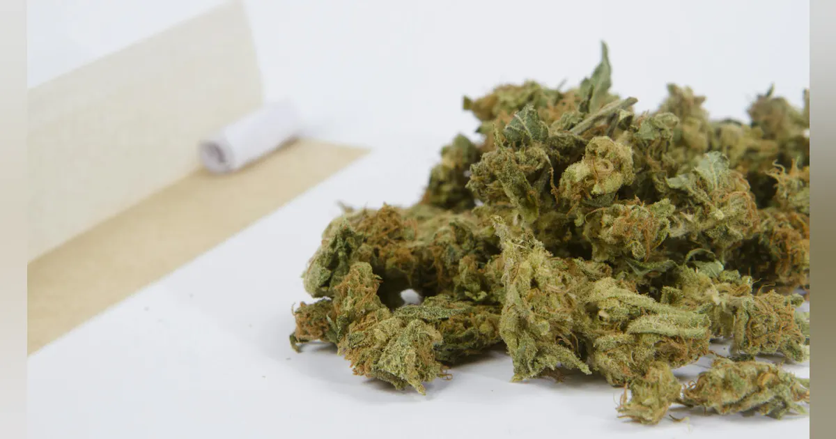 Mich. Supreme Court Raises Bar for Marijuana-Related Vehicle Searches
