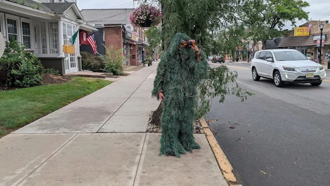 Dunellen police officer disguised as shrub helps catch distracted drivers