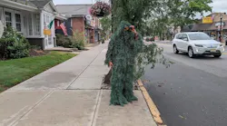 Dunellen police officer disguised as shrub helps catch distracted drivers