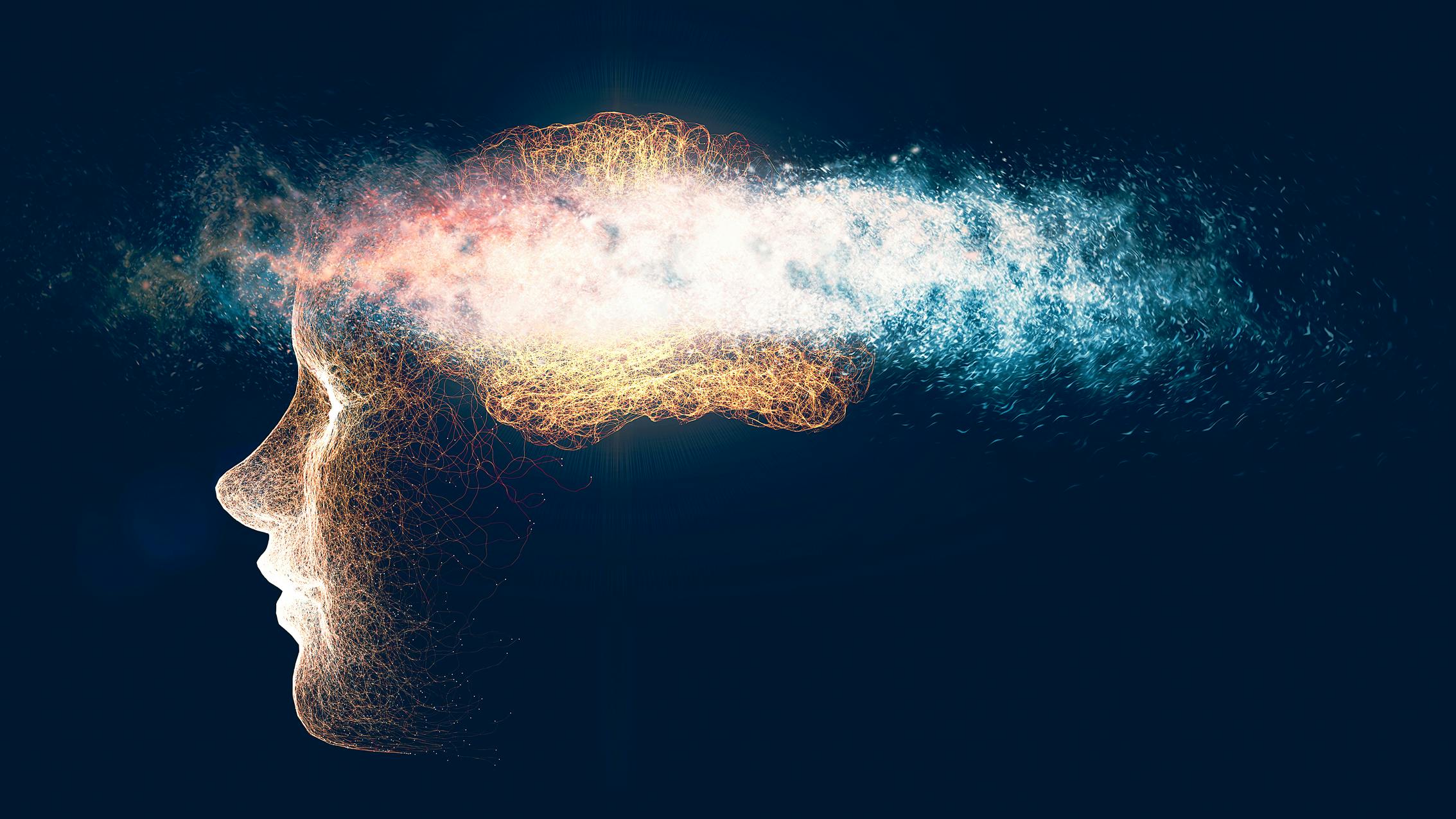 The brain and forgetting