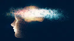 The brain and forgetting