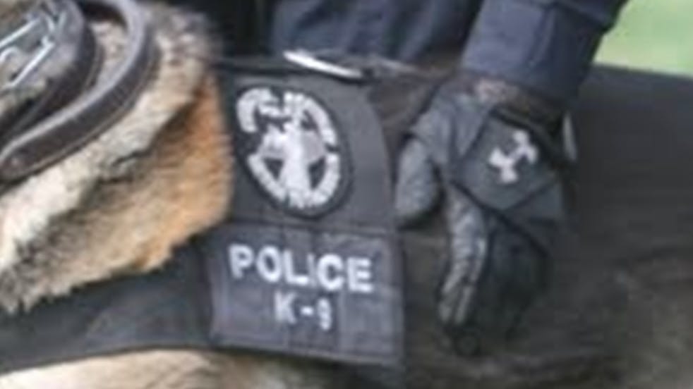 Covington police K-9