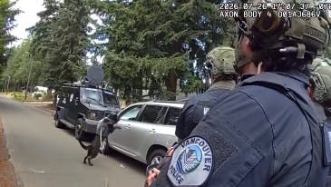 Vancover police K-9 jumps through car window during standoff