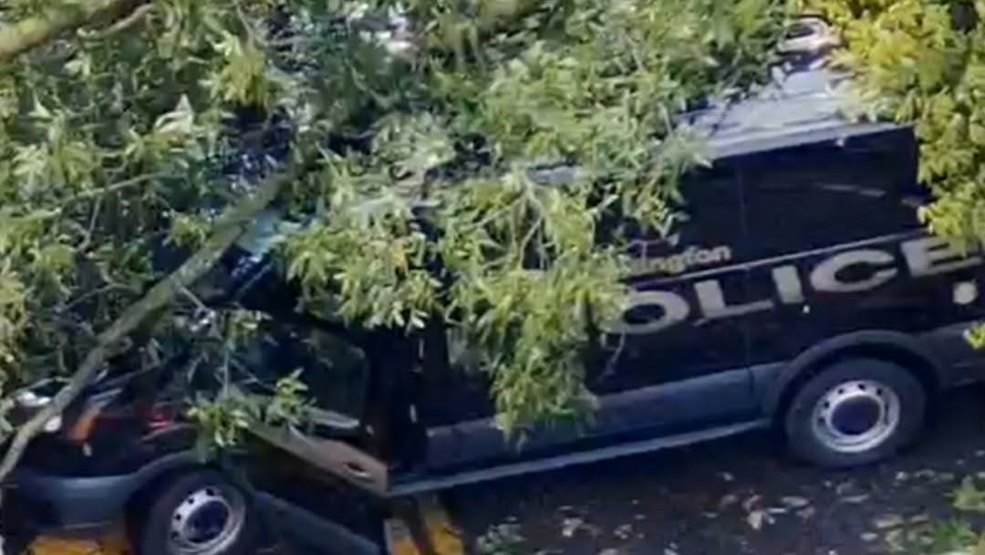 Tree falls on Upper Arlington police cruiser