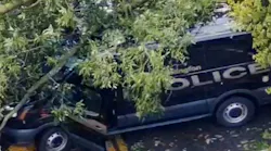 Tree falls on Upper Arlington police cruiser
