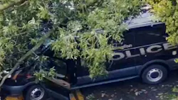 Tree falls on Upper Arlington police cruiser