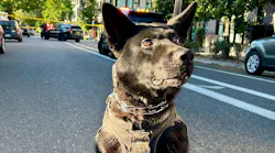Portland Police K-9 Harcos