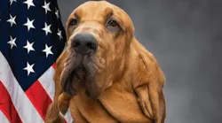 Charlottesville Police K-9 Blue