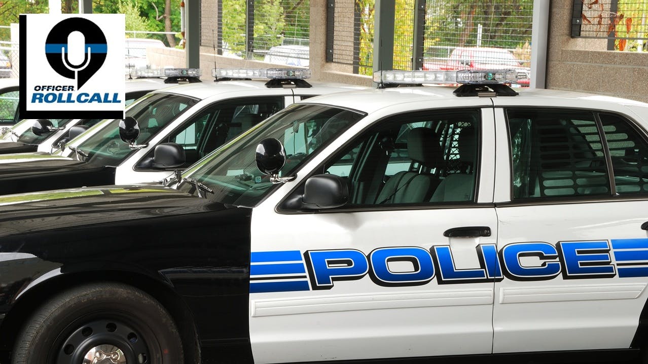 Police cruisers