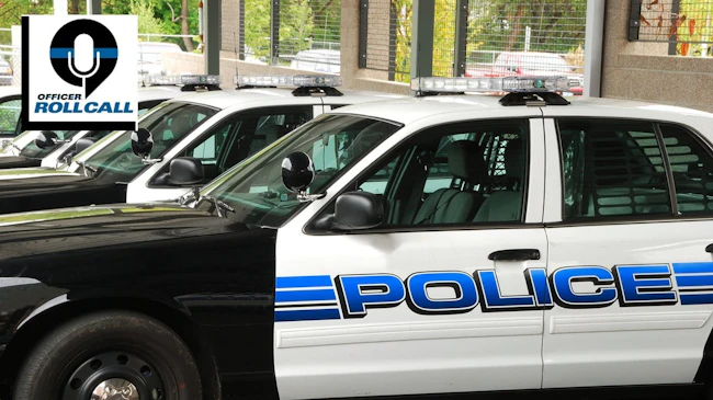 Police cruisers