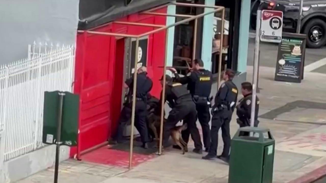 San Diego police officers and a K-9 confront a vandalism suspect during a standoff