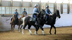 Members of the Minneapolis Police Department's mounted unit