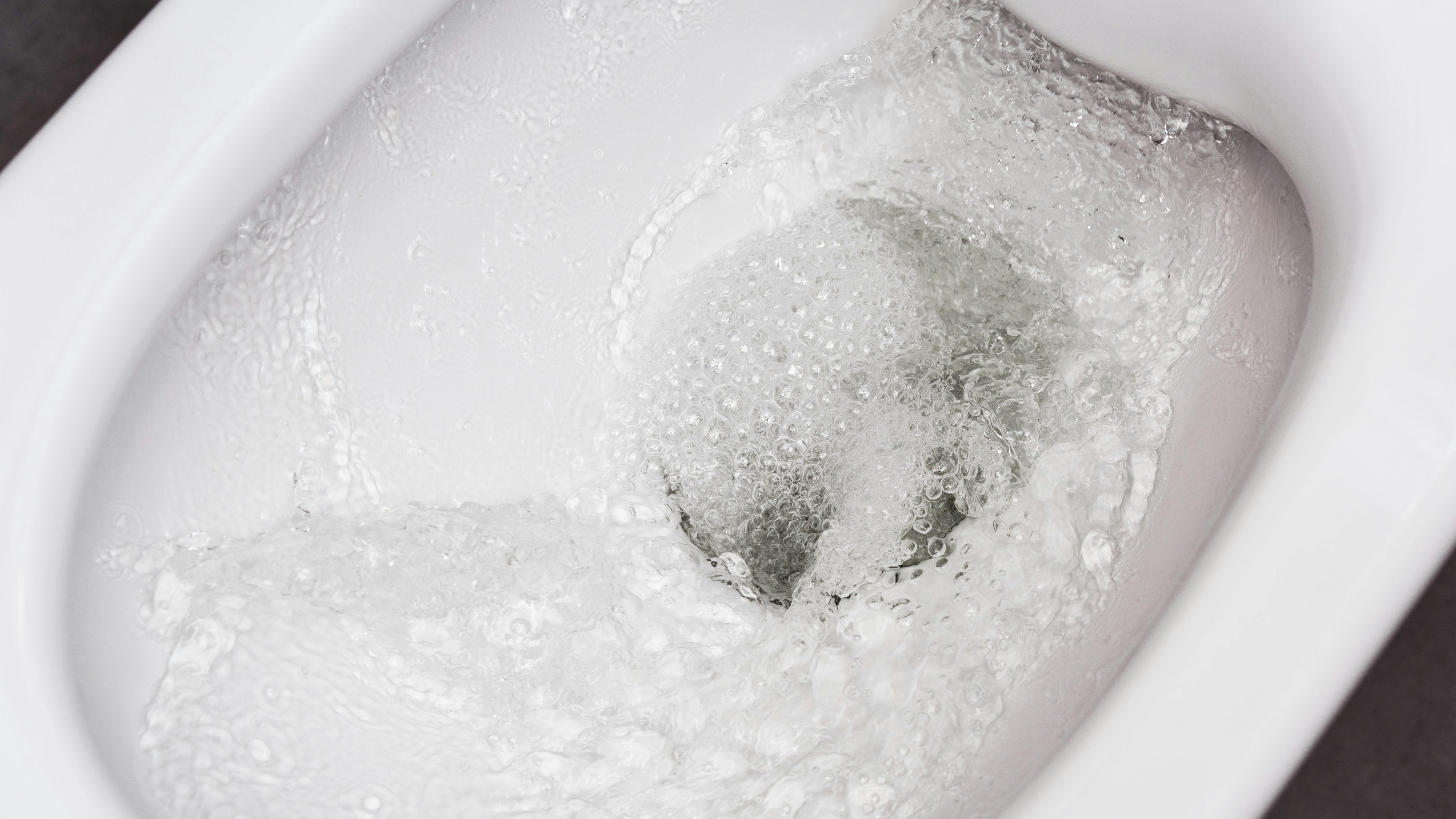 Flushing toilet bowl