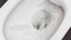 Flushing toilet bowl