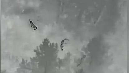 Four mountain lions spotted near a school by a Boulder County Sheriff's Office thermal night-vision drone