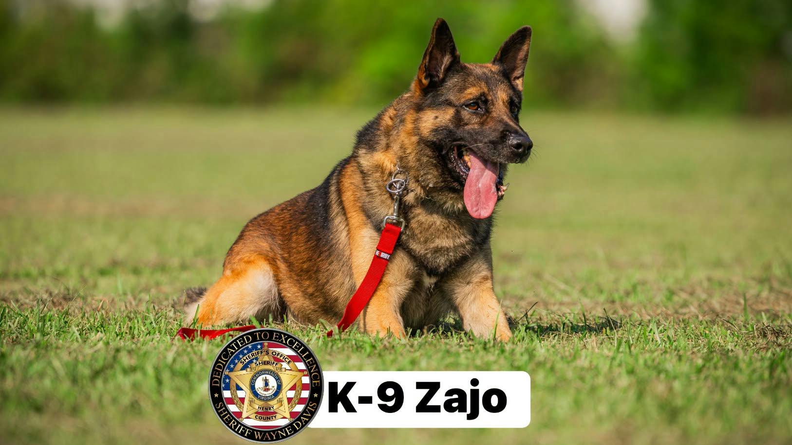 Zajo, a Henry County Sheriff's Office K-9