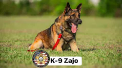Zajo, a Henry County Sheriff's Office K-9
