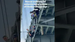 NYPD officers rescue teen perched on the edge of Williamsburg Bridge
