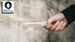 A knife is held outright in a person's had