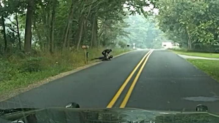 A Kalamazoo County deputy struggles with a suspect who would shoot the deputy in the leg before stealing his cruiser