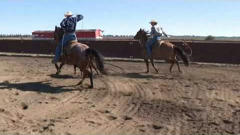 Deputies peform at Sacramento County Sheriff's Rodeo